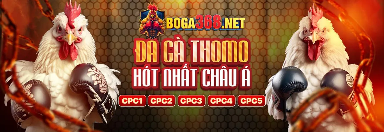 Chiến thuật cá cược thể thao Fun88